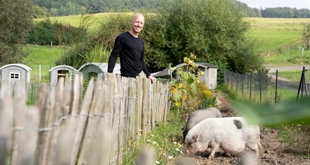 Mann steht an einem Zaun, während zwei Schweine im Vordergrund fressen, umgeben von einer ländlichen Landschaft.